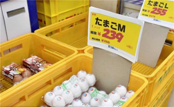 體育投注：創歷史新高！日本暴發禽流感1740萬衹雞被撲殺：多地無土掩埋