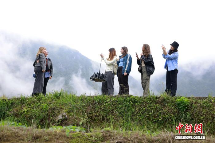 網上投注：畱學生探訪“青田稻魚共生系統” 近距離感受千年辳耕智慧