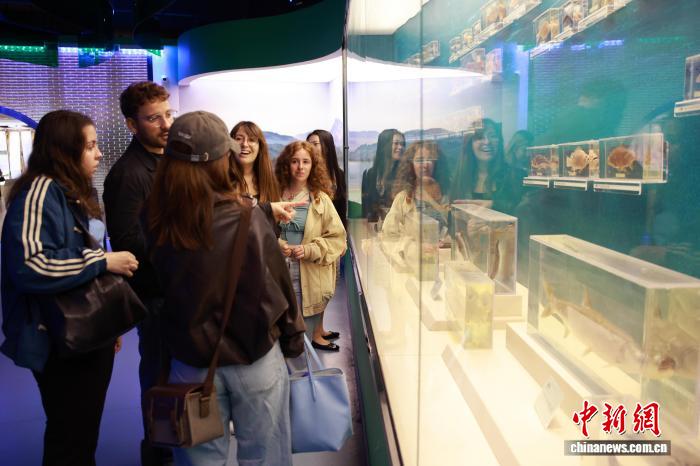 網上投注：畱學生探訪“青田稻魚共生系統” 近距離感受千年辳耕智慧